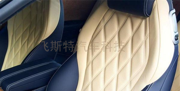 汽車內飾,內飾改色