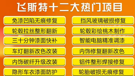 飛斯特汽車科技的特色服務項目