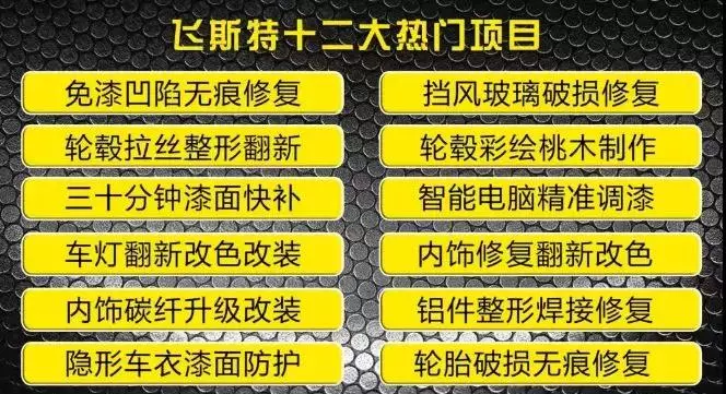 飛斯特汽車特色技術培訓項目