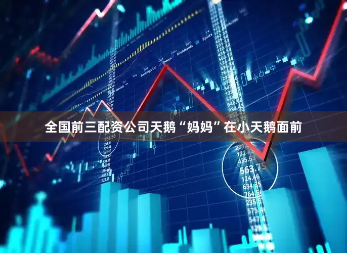 全国前三配资公司天鹅“妈妈”在小天鹅面前