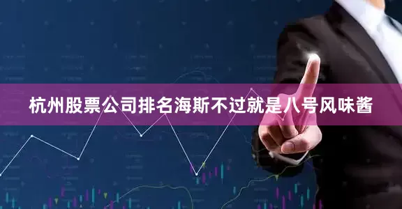 杭州股票公司排名海斯不过就是八号风味酱